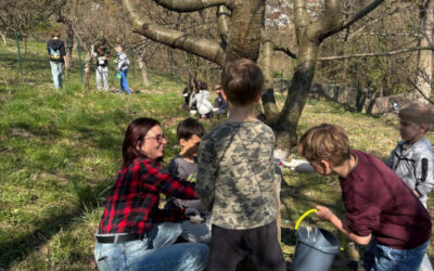 Kako pravilno obaviti proljetne radove u školskom voćnjaku?