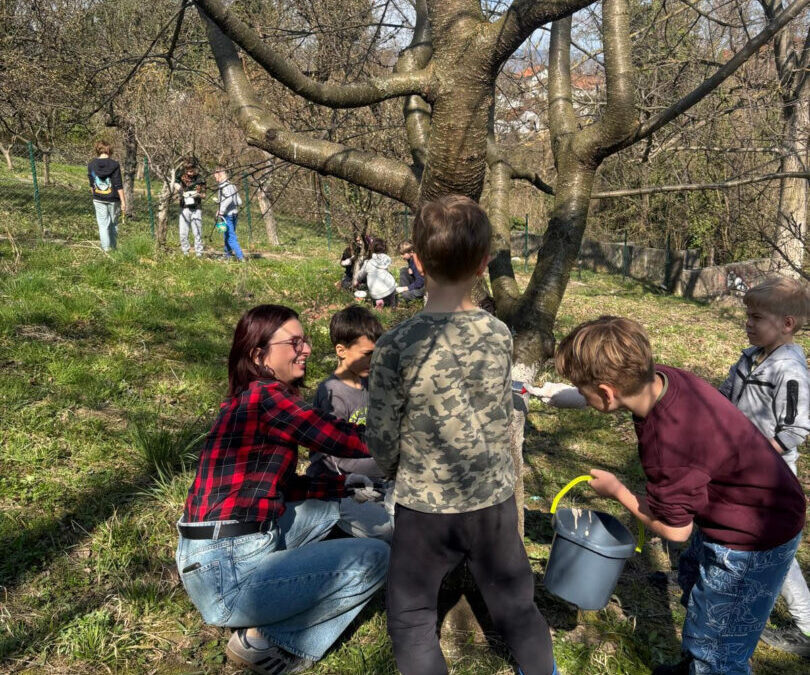Kako pravilno obaviti proljetne radove u školskom voćnjaku?