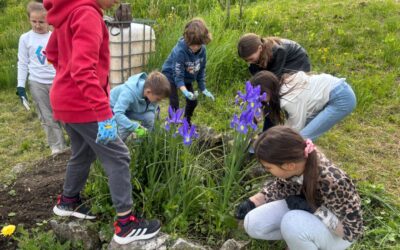 Projektni dan naše škole, 22. 4.2026.